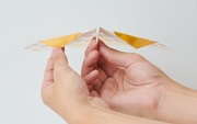 Papillon Origami Airplanes - Sweet Choice