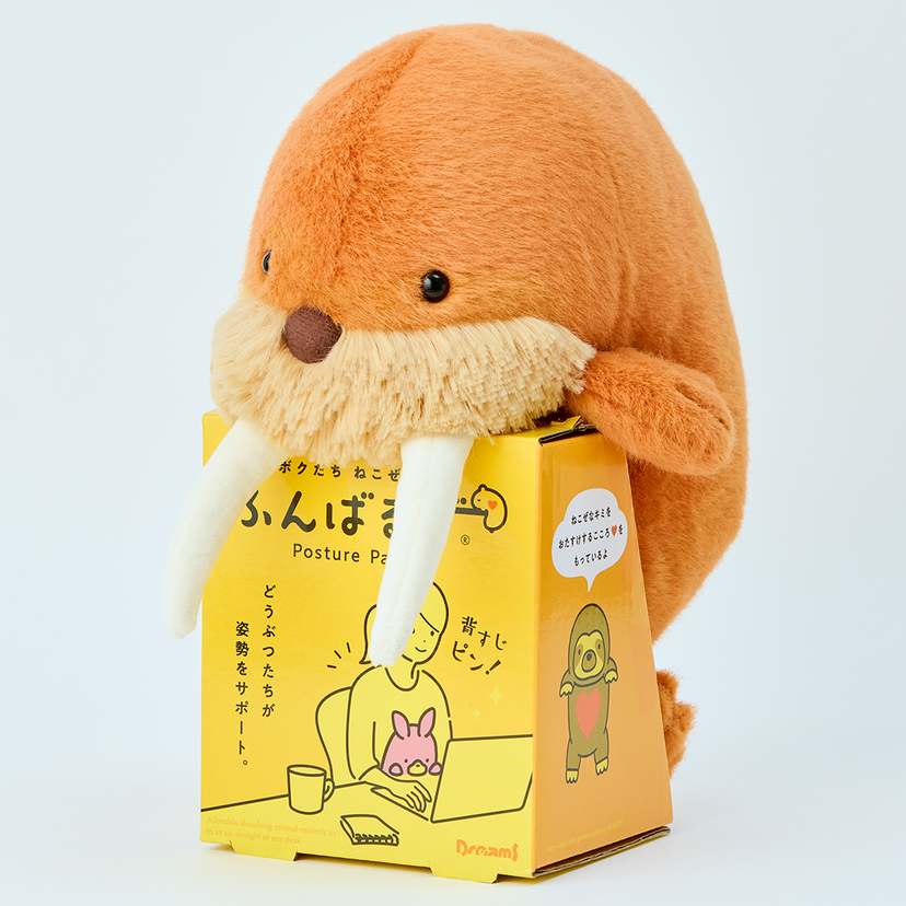 Posture Pal - Marine - Daily Choice