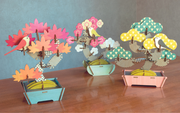 Play Plants Bonsai Puzzles - Modern Accent