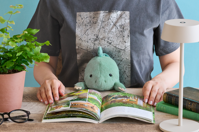 Posture Pal - Dinosaur - Blind Box Pick
