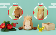 Posture Pal - Little Accent