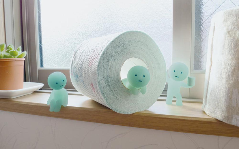 SMISKI Toilet Series - Dream Display