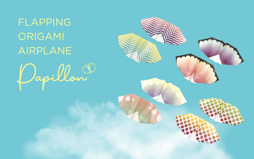 Papillon Origami Airplanes - Travel Carry
