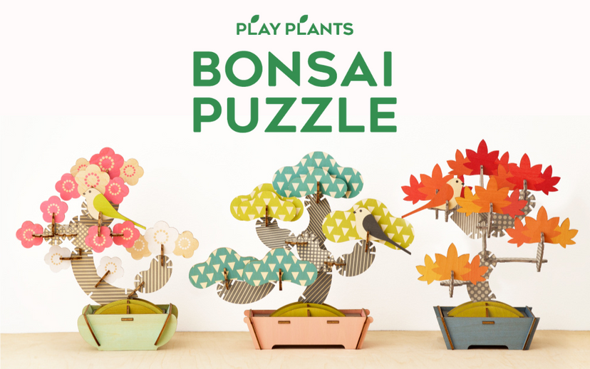 Play Plants Bonsai Puzzles - Shelf Ready