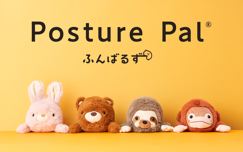 Posture Pal - Pocket Carry