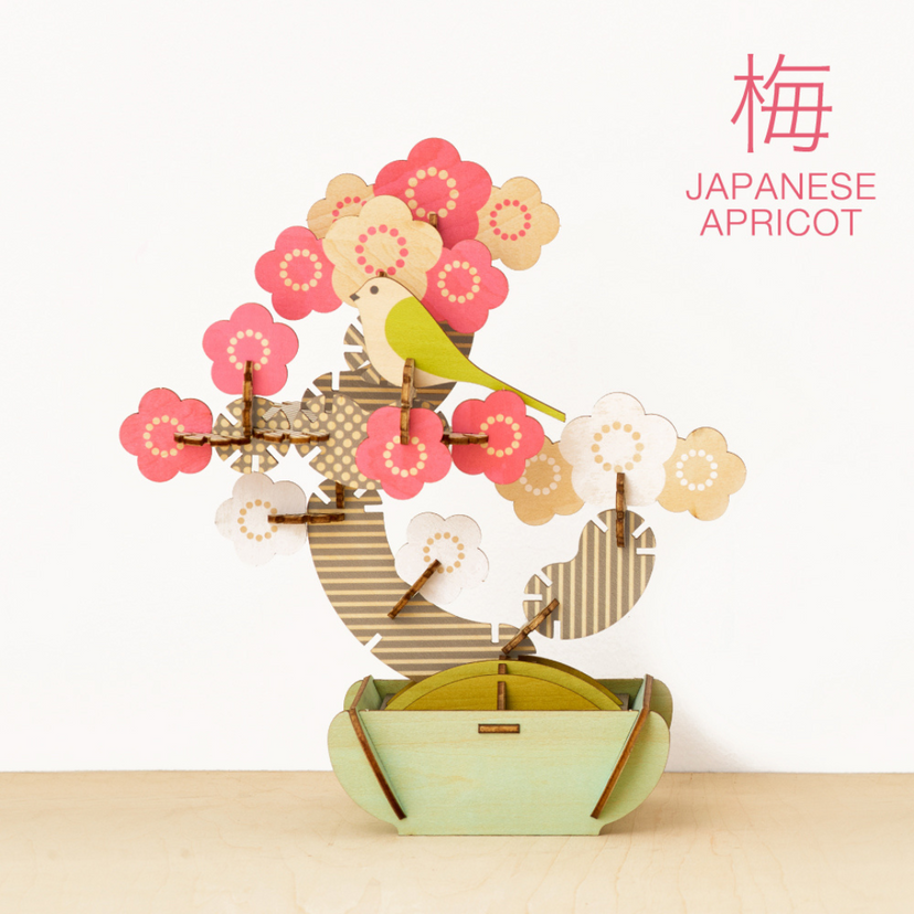 Play Plants Bonsai Puzzles - Pocket Charm