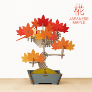 Play Plants Bonsai Puzzles - Daily Charm