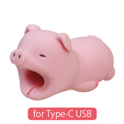CABLE BITE for Type-C USB - Happy Pick